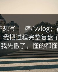 我本来不想写 ｜ 糖心vlog；在电脑上试了下｜我把过程完整复盘了一遍！！我先撤了，懂的都懂