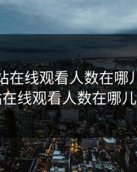 免费网站在线观看人数在哪儿，免费网站在线观看人数在哪儿更新