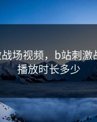 B站刺激战场视频，b站刺激战场视频播放时长多少