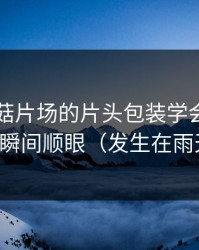 我把蘑菇片场的片头包装学会了：自我和解瞬间顺眼（发生在雨天街口）