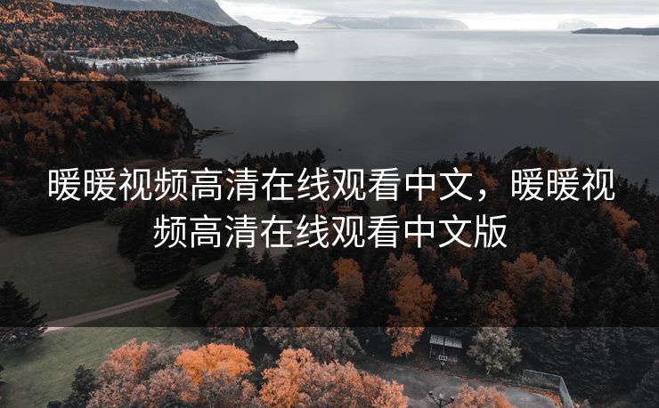 暖暖视频高清在线观看中文，暖暖视频高清在线观看中文版