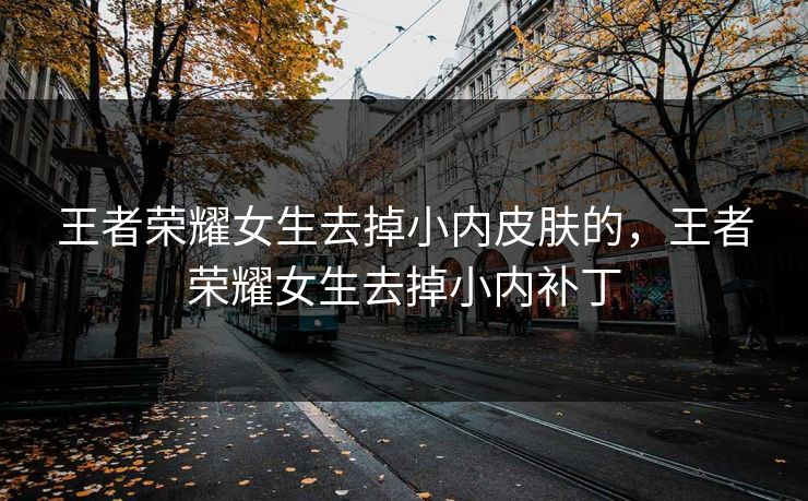 王者荣耀女生去掉小内皮肤的，王者荣耀女生去掉小内补丁