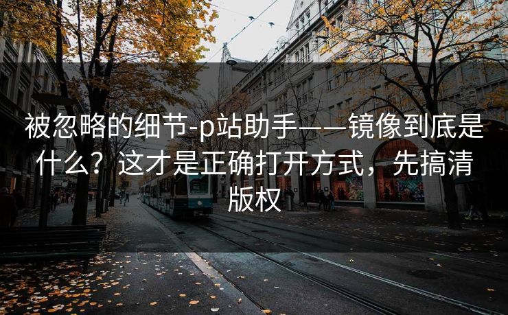 被忽略的细节-p站助手——镜像到底是什么？这才是正确打开方式，先搞清版权